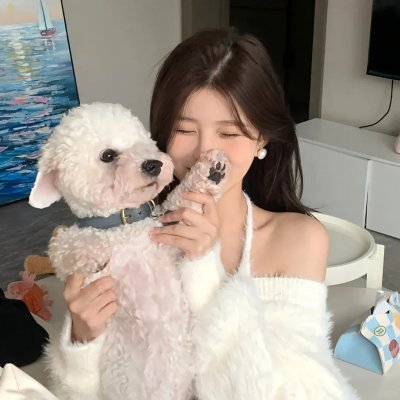 海龟们